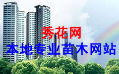 �㶫��ľ,�㶫԰���̻���˾,�㶫�����г�,�㶫�辰,�㶫��ľ����